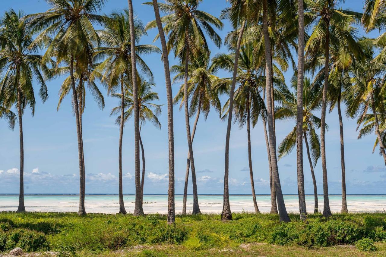 Shivo Guest House Zanzibar Exterior photo